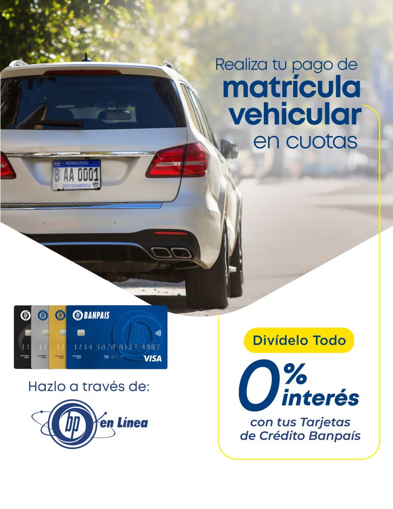 Divide en cuotas el pago de tu matrícula vehicular